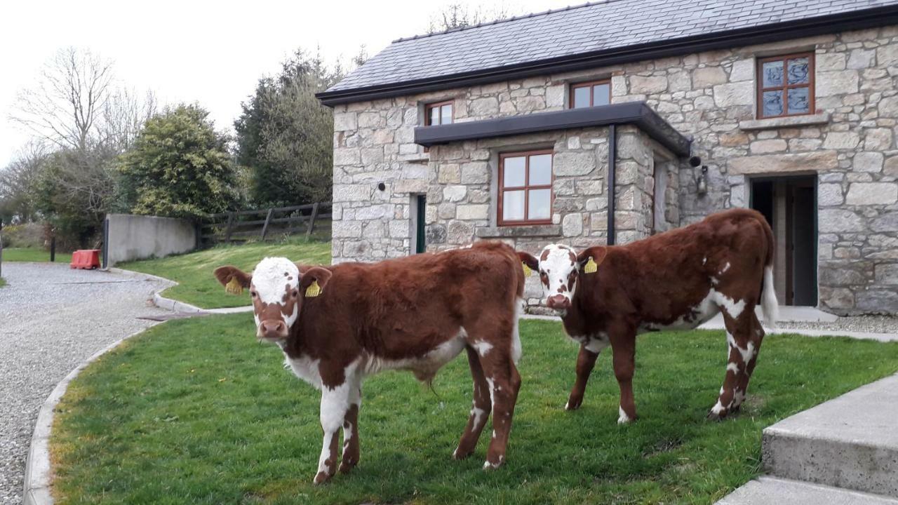 Clonmore Green Adventure Ecohostel מראה חיצוני תמונה